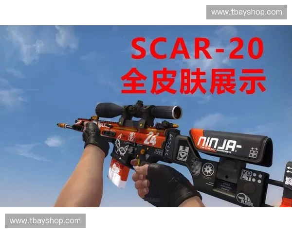 CSGO磨损系统解析与皮肤价值变化深度分析